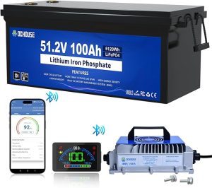 2. DC HOUSE 48V Lithium Golf Cart Battery