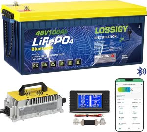 6. LOSSIGY 48V Lithium Golf Cart Battery