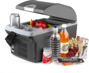 9. Wagan 12 Volt Car Refrigerator